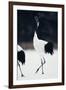 Red-Crowned Cranes in Courtship Display-DLILLC-Framed Photographic Print