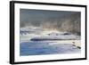 Red Crowned Cranes in Frozen River at Dawn Hokkaido Japan-Peter Adams-Framed Photographic Print