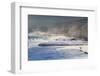 Red Crowned Cranes in Frozen River at Dawn Hokkaido Japan-Peter Adams-Framed Photographic Print