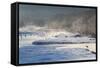 Red Crowned Cranes in Frozen River at Dawn Hokkaido Japan-Peter Adams-Framed Stretched Canvas