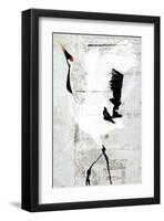 Red-Crowned Dance-Rachel Travis-Framed Art Print