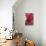 Red Cyclamen Abstract-Anna Miller-Stretched Canvas displayed on a wall