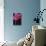 Red Cyclamen Abstract-Anna Miller-Stretched Canvas displayed on a wall