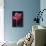 Red Cyclamen Abstract-Anna Miller-Photographic Print displayed on a wall