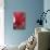 Red Cyclamen Abstract-Anna Miller-Photographic Print displayed on a wall