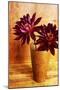 Red Dahlias in a Copper Vase-Tom Quartermaine-Mounted Giclee Print