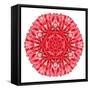 Red Daisy Mandala Flower Kaleidoscopic-tr3gi-Framed Stretched Canvas