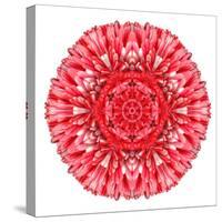 Red Daisy Mandala Flower Kaleidoscopic-tr3gi-Stretched Canvas