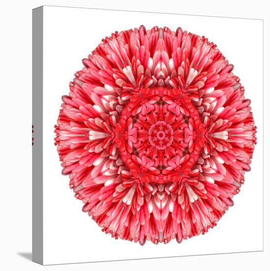 Red Daisy Mandala Flower Kaleidoscopic-tr3gi-Stretched Canvas