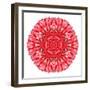 Red Daisy Mandala Flower Kaleidoscopic-tr3gi-Framed Premium Giclee Print