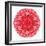 Red Daisy Mandala Flower Kaleidoscopic-tr3gi-Framed Premium Giclee Print