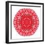 Red Daisy Mandala Flower Kaleidoscopic-tr3gi-Framed Premium Giclee Print