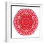 Red Daisy Mandala Flower Kaleidoscopic-tr3gi-Framed Premium Giclee Print