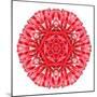 Red Daisy Mandala Flower Kaleidoscopic-tr3gi-Mounted Premium Giclee Print