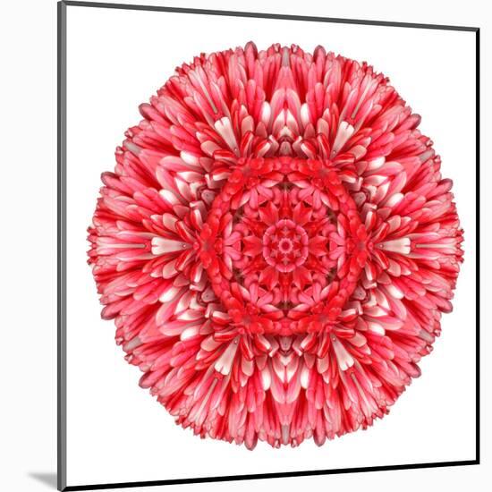 Red Daisy Mandala Flower Kaleidoscopic-tr3gi-Mounted Art Print