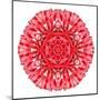 Red Daisy Mandala Flower Kaleidoscopic-tr3gi-Mounted Art Print