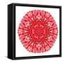 Red Daisy Mandala Flower Kaleidoscopic-tr3gi-Framed Stretched Canvas