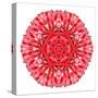 Red Daisy Mandala Flower Kaleidoscopic-tr3gi-Stretched Canvas