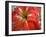 Red Day Lilly-Herb Dickinson-Framed Premium Photographic Print