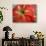 Red Day Lilly-Herb Dickinson-Photographic Print displayed on a wall