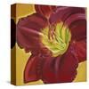Red Day Lily I-Roberta Aviram-Stretched Canvas
