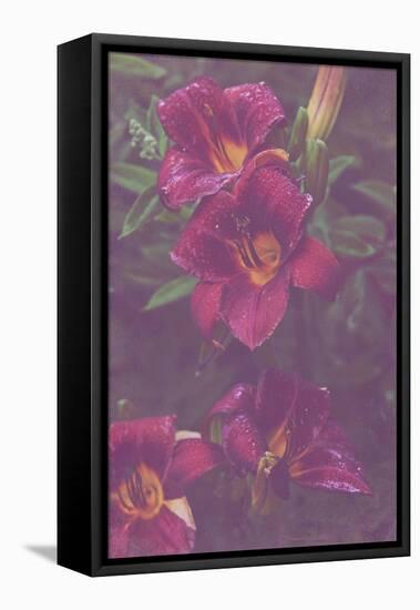 Red Day Lily in the Garden with an Artistic Texture Overlay-pdb1-Framed Stretched Canvas