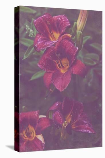 Red Day Lily in the Garden with an Artistic Texture Overlay-pdb1-Stretched Canvas