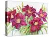 Red Daylilies with Yellow Centers-Joanne Porter-Stretched Canvas