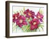 Red Daylilies with Yellow Centers-Joanne Porter-Framed Giclee Print