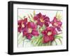 Red Daylilies with Yellow Centers-Joanne Porter-Framed Giclee Print