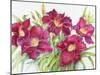 Red Daylilies with Yellow Centers-Joanne Porter-Mounted Giclee Print