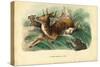 Red Deer, 1863-79-Raimundo Petraroja-Stretched Canvas