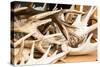 Red Deer Antlers-Imfoto-Stretched Canvas