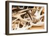 Red Deer Antlers-Imfoto-Framed Photographic Print