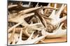 Red Deer Antlers-Imfoto-Mounted Photographic Print