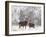 Red Deer Bucks in Snow-null-Framed Photographic Print