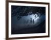 Red Deer, Cervus Elaphus, Gathering on a Misty Morning-Alex Saberi-Framed Photographic Print