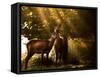 Red Deer, Cervus Elaphus, Huddle Together in the Autumn Light-Alex Saberi-Framed Stretched Canvas