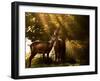 Red Deer, Cervus Elaphus, Huddle Together in the Autumn Light-Alex Saberi-Framed Photographic Print