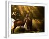 Red Deer, Cervus Elaphus, Huddle Together in the Autumn Light-Alex Saberi-Framed Photographic Print