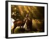 Red Deer, Cervus Elaphus, Huddle Together in the Autumn Light-Alex Saberi-Framed Photographic Print