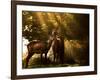 Red Deer, Cervus Elaphus, Huddle Together in the Autumn Light-Alex Saberi-Framed Photographic Print