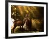 Red Deer, Cervus Elaphus, Huddle Together in the Autumn Light-Alex Saberi-Framed Photographic Print