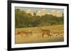 Red Deer (Cervus Elaphus) in Richmond Park with Roehampton Flats in Background, London, England, UK-Terry Whittaker-Framed Photographic Print