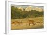 Red Deer (Cervus Elaphus) in Richmond Park with Roehampton Flats in Background, London, England, UK-Terry Whittaker-Framed Photographic Print