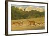 Red Deer (Cervus Elaphus) in Richmond Park with Roehampton Flats in Background, London, England, UK-Terry Whittaker-Framed Photographic Print