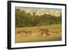 Red Deer (Cervus Elaphus) in Richmond Park with Roehampton Flats in Background, London, England, UK-Terry Whittaker-Framed Photographic Print