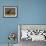Red Deer (Cervus Elaphus), Stag in Velvet, Grasspoint, Mull, Inner Hebrides, Scotland-Steve & Ann Toon-Framed Photographic Print displayed on a wall
