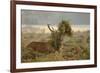 Red Deer (Cervus Elaphus) Stag Thrashing Bracken, Rutting Season, Bushy Park, London, UK, October-Terry Whittaker-Framed Photographic Print