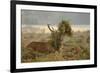 Red Deer (Cervus Elaphus) Stag Thrashing Bracken, Rutting Season, Bushy Park, London, UK, October-Terry Whittaker-Framed Photographic Print